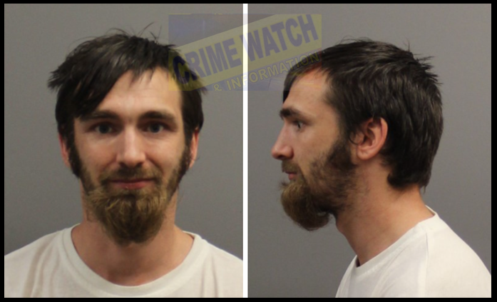 Steven Philip Erickson, DOB 08/16/1985 Mpls  IN CUSTODY: parole violation. Erickson has 22 prior convictions including 10 felonies. Most felony convictions were stayed, the other four were served concurrently. Multi burglary, theft.  This is not an anomaly. This is our system