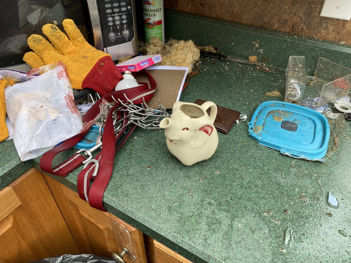 Terry Voight bought his home just a year ago. He grew up here and moving back was a dream. He and his dog, Ripper, sheltered on the floor of his room. Not much if left but a porcelain creamer belonging to his mom survived