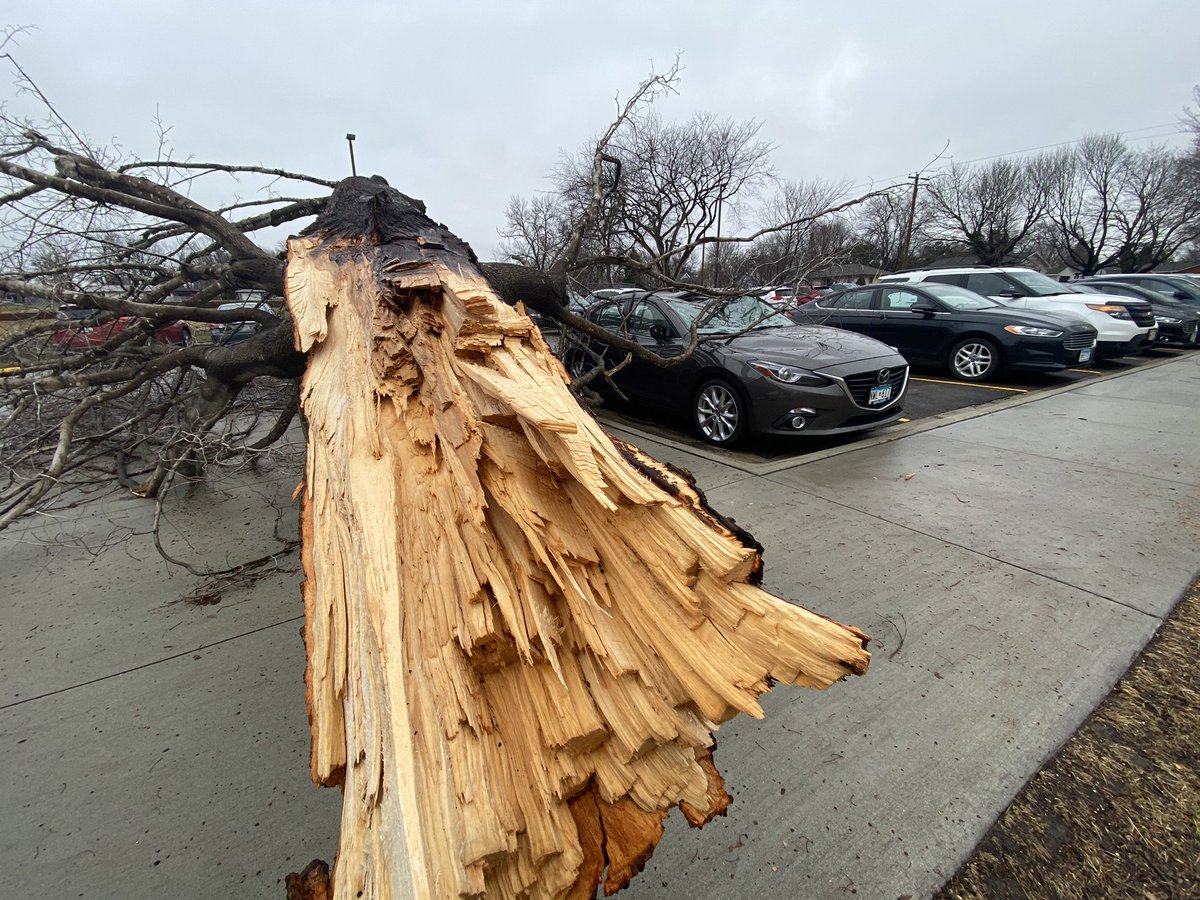 STRONG storms, even possible tornadoes in Faribault last night.  