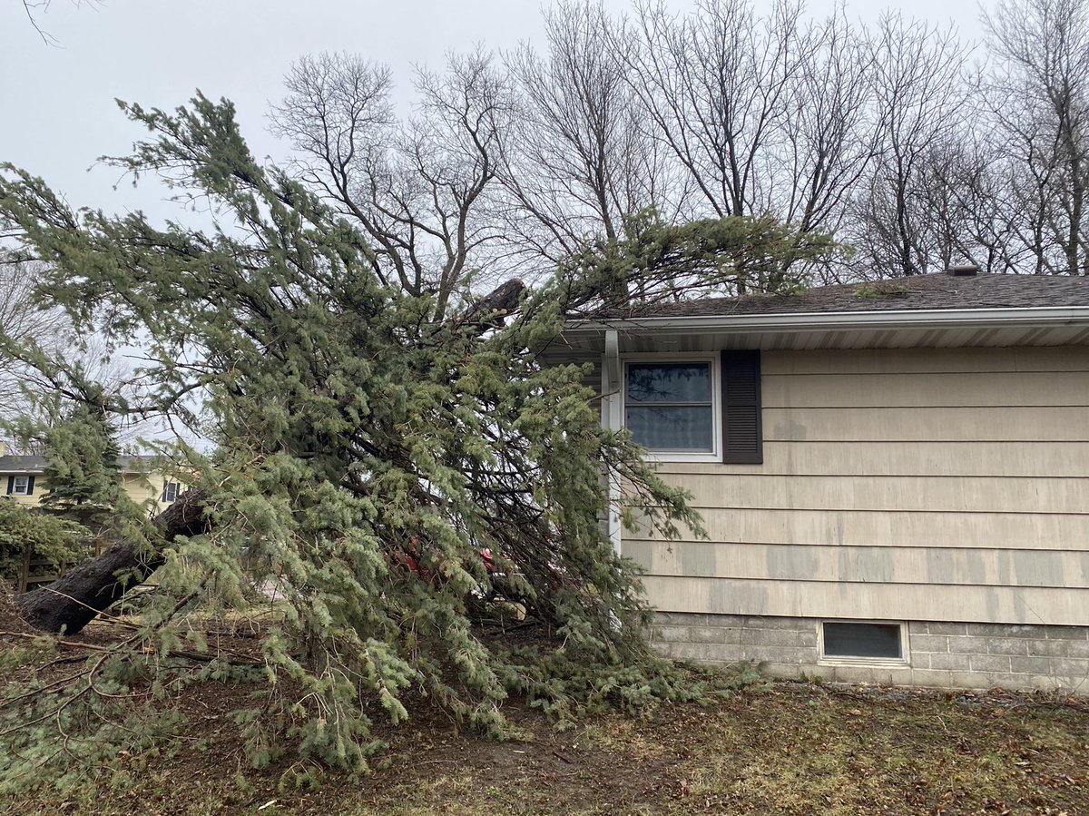 STRONG storms, even possible tornadoes in Faribault last night.  