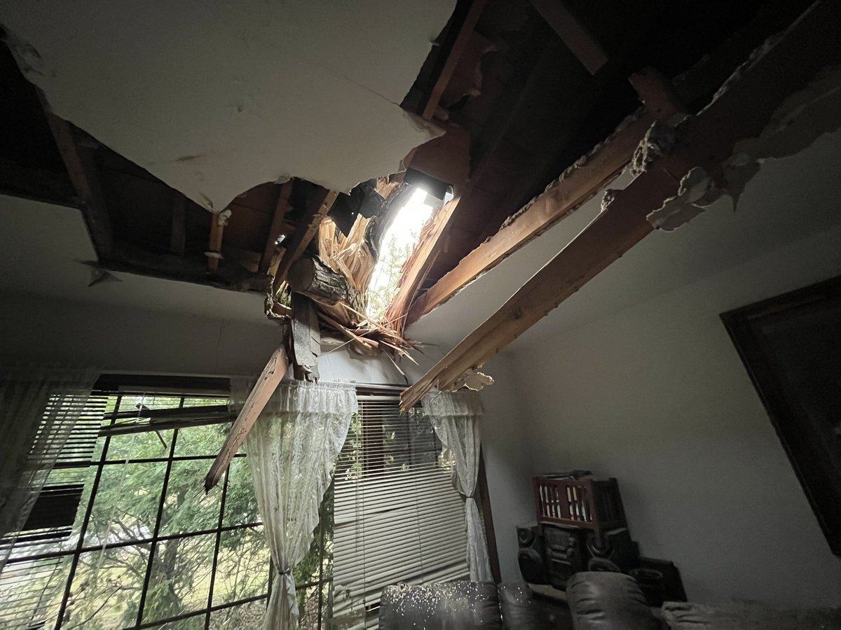 More from Faribault. Trees inside a home in the Southern Heights neighborhood. This is the worst damage   Same story from homeowners- no clue a storm was coming through.  Official word from county- no injuries, about 40 without power