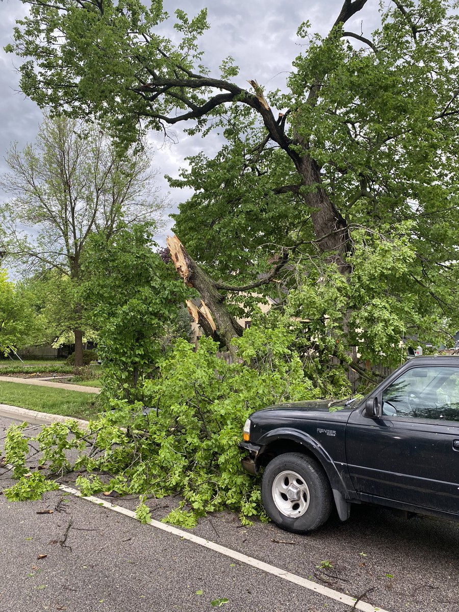 Huge tree limb down at 3rd Street. NE and Wilson in St. Cloud from the early morning storms. The truck looks the be spared but neighbors tell their power is spotty