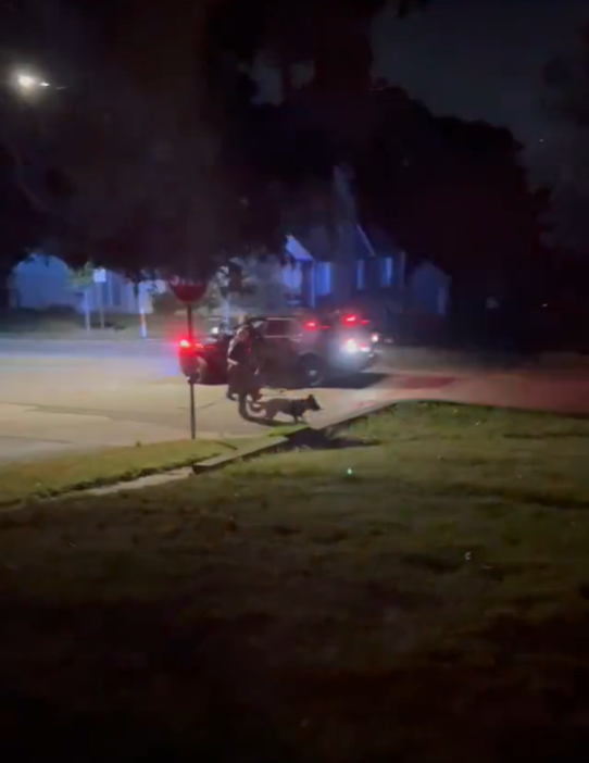 St. Louis Park - there was heavy police activity Friday about 10p on Minnetonka Blvd w K9, Sheriff, MSP helicopter searching for a reportedly armed suspect who fled from a stop. The search lasted over an hour. As far as we know, the suspect was not located at the time