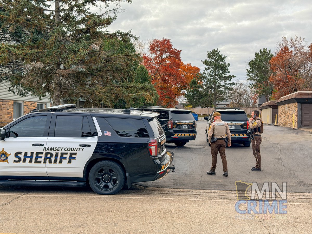 LITTLE CANADA: 3xx Labore Rd. — Deputies and medics responded after a woman in her 20s was struck by a vehicle during a domestic incident. The victim was reportedly semi-conscious when first responders arrived. The suspect fled the scene in a red BMW. 